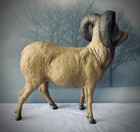 Vintage Breyer  Unknown Solid Tan W taupe Horns Dall Sheep Or Bighorn Ram