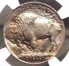 1913  p  Indian Head Buffalo Nickel  type 1  5c Ngc Ms66  003 Gem Bu Ecc c  Inc 