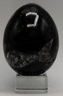 Moroccan Fossil Orthoceras Egg 61mm 196g     Black Marble Ancient Healing Stone  7