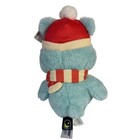Holiday Care Bears Winter 12  Plush Christmas Wishes Santa Hat   Scarf Gift New