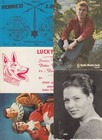 Radio Telepgraphy Qsl 65 Vintage Postcards Mostly Pre-1970  l5036 