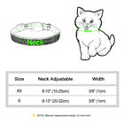 Breakaway Personalized Dog Cat Collar Bling Rhinestone Kitten Name Tag Engraved