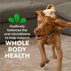 Greenies Original Teenie Natural Dental Dog Treats Pack Of 130