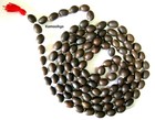 Lotus Seed Kamal Gatta Japa Mala 108 1 Beads Prayer Hindu Meditation Energized