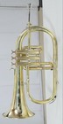 Pro Flugelhorn Bb Keys Free Hard Case   Mouthpiece- Brass