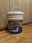 Olympic Maximum  5gal Clear Waterproofing Sealant 
