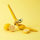 Chef n Freshforce Citrus Juicer In Yellow