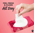 Summer s Eve Refreshing Feminine Wipes  Blissful Escape  32 Count