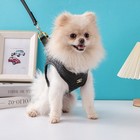 Luxury Quilted Leather Pet Harness   Leash Set     Black  dogs   Cats 