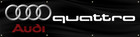 Audi 2 x8  Banner Flag
