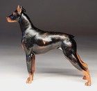 Nice  Antique Hubley Cast Iron Doberman Pinscher Doorstop - Great Paint 