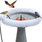 Pond De-icer   Birdbath Heater  Thermostat Controlled With Pump For Yard   Patio