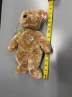 Ty Large Plush Beanie Buddy - Speckles The Bear  Mwmt
