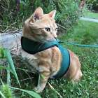 Kitty Holster Cat Harness  made In Usa 