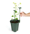 5pcs Plant Support Stake  Green Plastic Plant Fixer Support For Potted Plant New