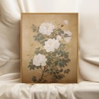 Antique Floral Framed Wall Art French Botanical Prints Vintage Peony Canvas C   