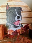 Custom Pet Portrait 8x10        Hand-painted Acrylic Pet Painting From Your Photo