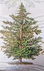 Holiday Flora Guest Towels   Buffet Napkins Christmas Tree Vintage Set Of 15 Nip