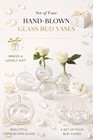 Sitting Pretty Set Of 4 Glass Bud Vase Napkin Rings In  Box     Hand-blown Clear