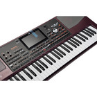 Korg Pa1000 61-key Pro Arranger Keyboard