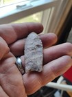      amazing Thin 2 5 16  Transitional Paleo Midland Unfluted Folsom Stermer Coa    