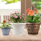 10 Inch Flower Pots Planters For Indoor Outdoor Plants  3 Pack