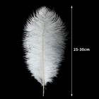 24pcs Natural White Ostrich Feathers 10-12inch  25-30cm  For Wedding Party Cente