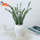 12 Pcs Eucalyptus For Shower 17   Natural Fresh Hanging Eucalyptus Stems real Eu