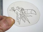 Vtg 1960s 1970s Tattoo Flash Acetate Stencil Weed Stoned Toucan Signed Weed2