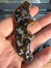 12 3grams Sericho Pallasite Meteorite Slice