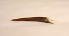 Vintage Zuni Antler Fetish - Avanyu Water Serpent 3rd Quarter 20th Century 5 5 