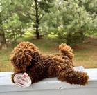 Darling Yomiko Classics Paix Russ Berrie Plush Brown  Poodle  35956 Ships Free    