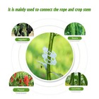 25mm 50 100 200pcs Garden Plant Support Clips Tomato And Veggie Trellis Twine