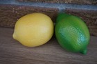 Fake Food Whole Lemon Lime Fruit Realistic Look Feel Faux Pretend Prop Set Lot