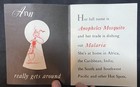 This Is Ann She   s Dying To Meet You Dr Seuss Malaria Wwii Book    excellent  