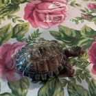 Turtle   Tortoise Figurine Collectible Reptile Animal Mini Statue Decor