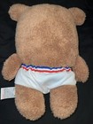 12    Gund Bear In Underwear Vintage Plush Plush Tighty Whitey Teddy