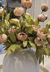 8 Viral Tan Peony Stem By Ashland  