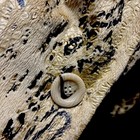 Vintage Y2k Erin London Animal Print Jacket Sz M Leopard Coat Shirt Jacket Nwot