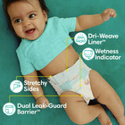 Pampers Baby Dry Baby Diapers Size 6  144 Count  select For More Options 