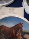 Danbury Mint Porcelain Horse Collector Plates Lot W  Coa Whirlaway Seattle Slew