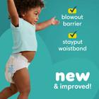 Pampers Baby Dry Baby Diapers Size 4  148 Count  Free Shipping  New