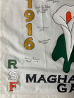 Irish Republican Political Prisoner Art   last Price Drop  