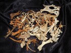 Lot Of 100 Real Assorted Small Animal Bones   As Pictured
