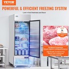 Vevor Commercial Freezer 19 32 Cu ft Reach In Upright Freezer 1 Door 4 Shelves
