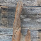 Driftwood All Natural Mounted On Corkboard Base For Taxidermy