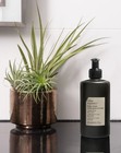 Skin Regimen Comfort Zone Body Cream Lotion 10 1 Fl Oz 300ml