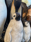 Young Penguin Bird Life Size Resin Statue Animal Prop Display Arctic Theme Decor