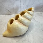 Seychelles Newport Toothbrush Holder   Bathroom Tumbler Nautilus Sea Shell Beach
