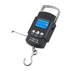 Lcd Electronic Fishing Scale Portable Digital Luggage Weight Hanging Hook 50kg